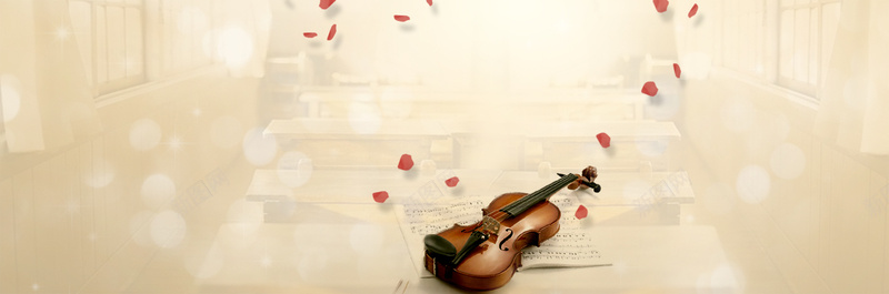 浪漫唯美梦幻小提琴花瓣背景图背景