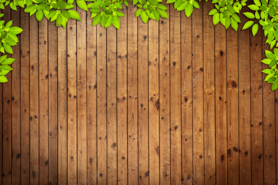 绿叶边框木板背景背景