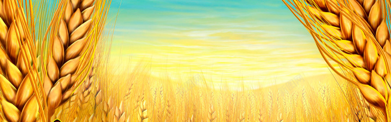 手绘金色的麦田背景背景