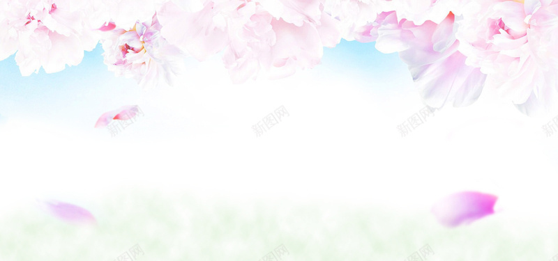 花茶海报背景