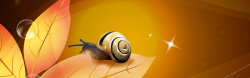 枫叶蜗牛素材枫叶上的蜗牛背景高清图片