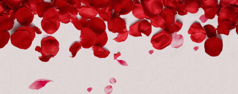 玫瑰花瓣梦幻背景psd设计背景_88icon https://88icon.com 玫瑰花瓣 女装 梦幻 红色 美妆 化妆品 背景 海报banner 浪漫