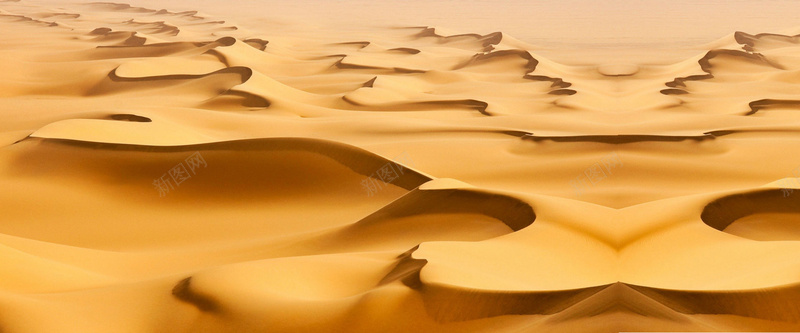 金色沙漠背景背景