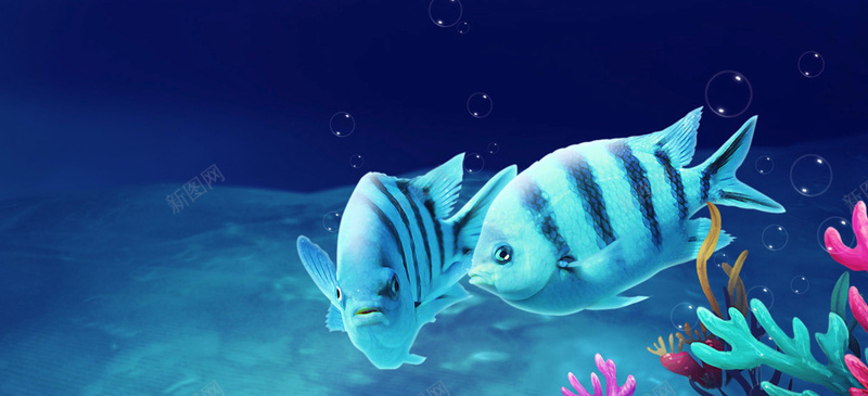 海底世界鱼儿背景装饰背景