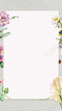 小清新花卉边框H5背景素材背景