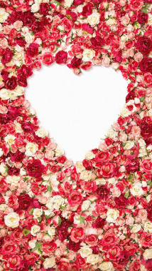 红色花卉H5背景背景