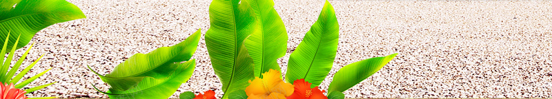 阳光原味水果海报背景素材jpg设计背景_88icon https://88icon.com 水果广告海报 水果促销 热带水果 水果店 艺术字 阳光原味 进口水果 DM宣传单 200dpi 喜欢