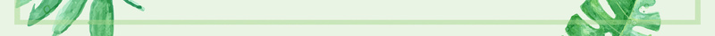 清新花朵春装新品上市促销宣传海报背景素材psd设计背景_88icon https://88icon.com 清新 花朵 绿色 边框 春装 新品上市 促销 宣传 海报 背景 素材
