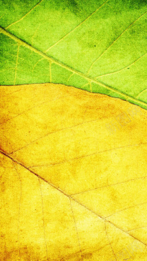 黄绿树叶h5素材背景背景