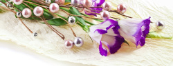 桔梗花摄影花蕾花蕊背景高清图片