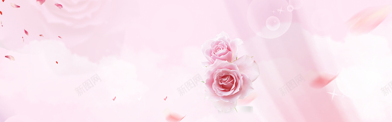 表白节粉色玫瑰花卉海报背景背景