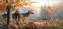 秋季自然风光秋季风景图高清图片
