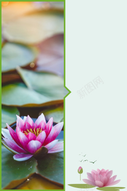 二十四节气之处暑海报背景