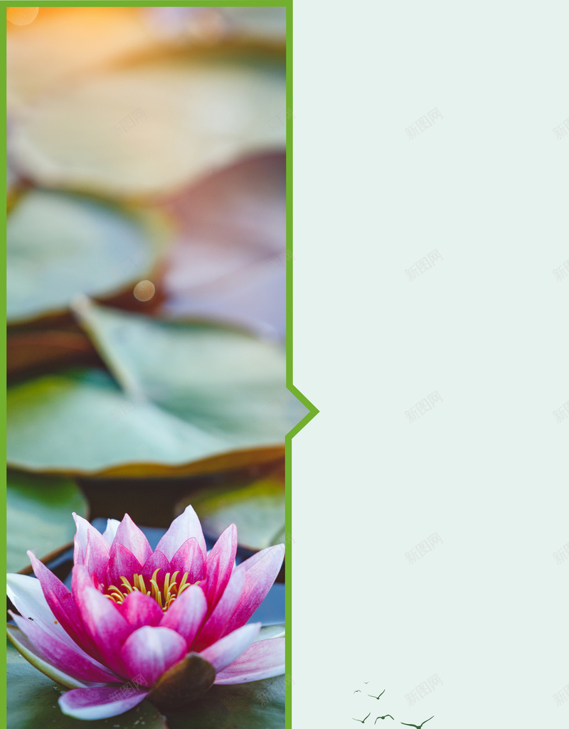 二十四节气之处暑海报psd设计背景_88icon https://88icon.com 传统节日 夏季 大暑 节气 荷花 传统文化 处暑 荷叶 简约 夏天