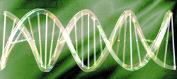 双螺旋线DNA双螺旋线条蓝色科技背景高清图片