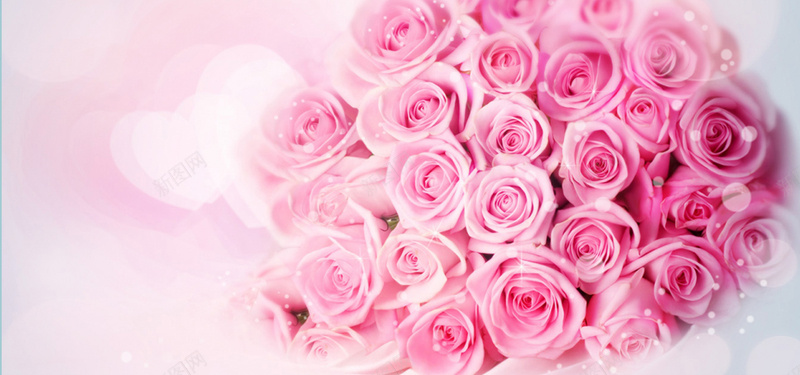 玫瑰浪漫情人节背景背景