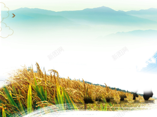 清新稻田高山绿色背景素材背景