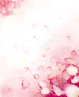 三八节粉色花瓣海报背景背景