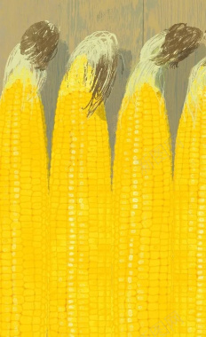 丰收的玉米海报设计背景