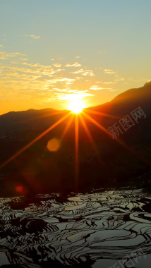 黄色阳光光线梯田风景H5背景素材背景