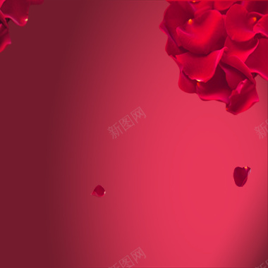 红色花瓣主图背景