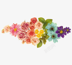 高清花朵png装饰花朵免扣高清唯美清新玫瑰花高清图片