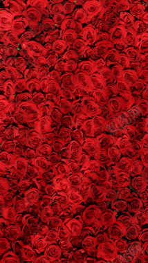 情人节玫瑰H5背景素材背景