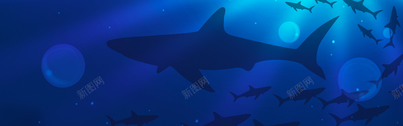 鲨鱼背景jpg设计背景_88icon https://88icon.com 蓝色 海底世界 鲨鱼 海洋 banenr 海报banner 卡通 童趣 手绘