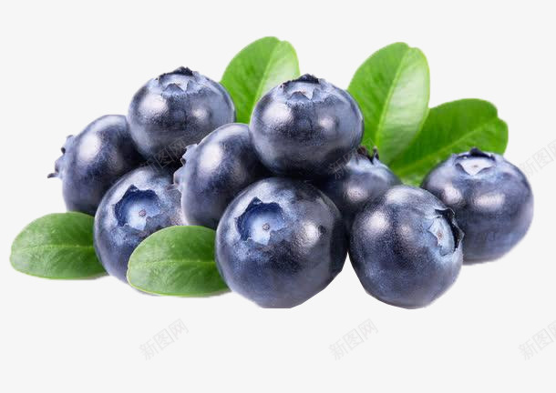 蓝莓水果甸果地果龙果png免抠素材_88icon https://88icon.com 蓝莓 水果 提子 紫色 黑加仑