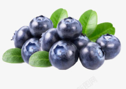 黑莓蓝莓水果甸果地果龙果高清图片