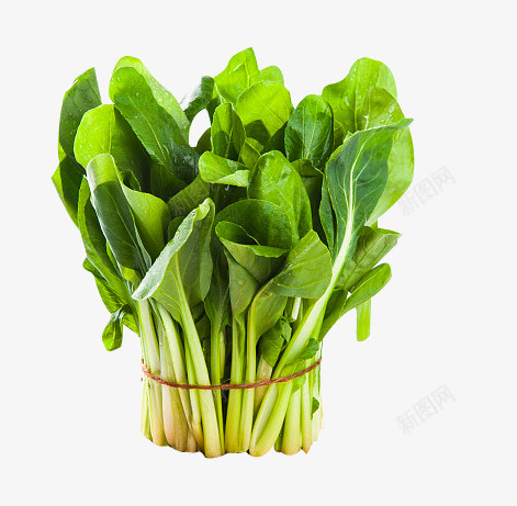 一捆绿色的青菜png免抠素材_88icon https://88icon.com 一捆 小青菜 成捆的蔬菜 绿色 蔬菜 鸡毛菜