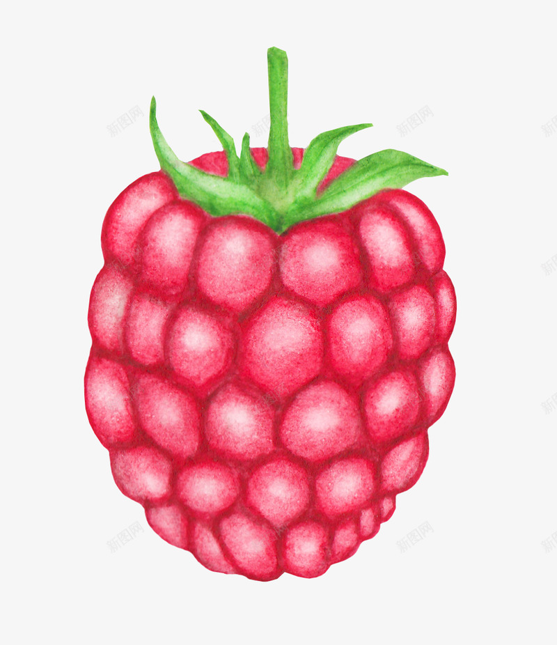 12FreeWatercolorFruits板式png免抠素材_88icon https://88icon.com 板式