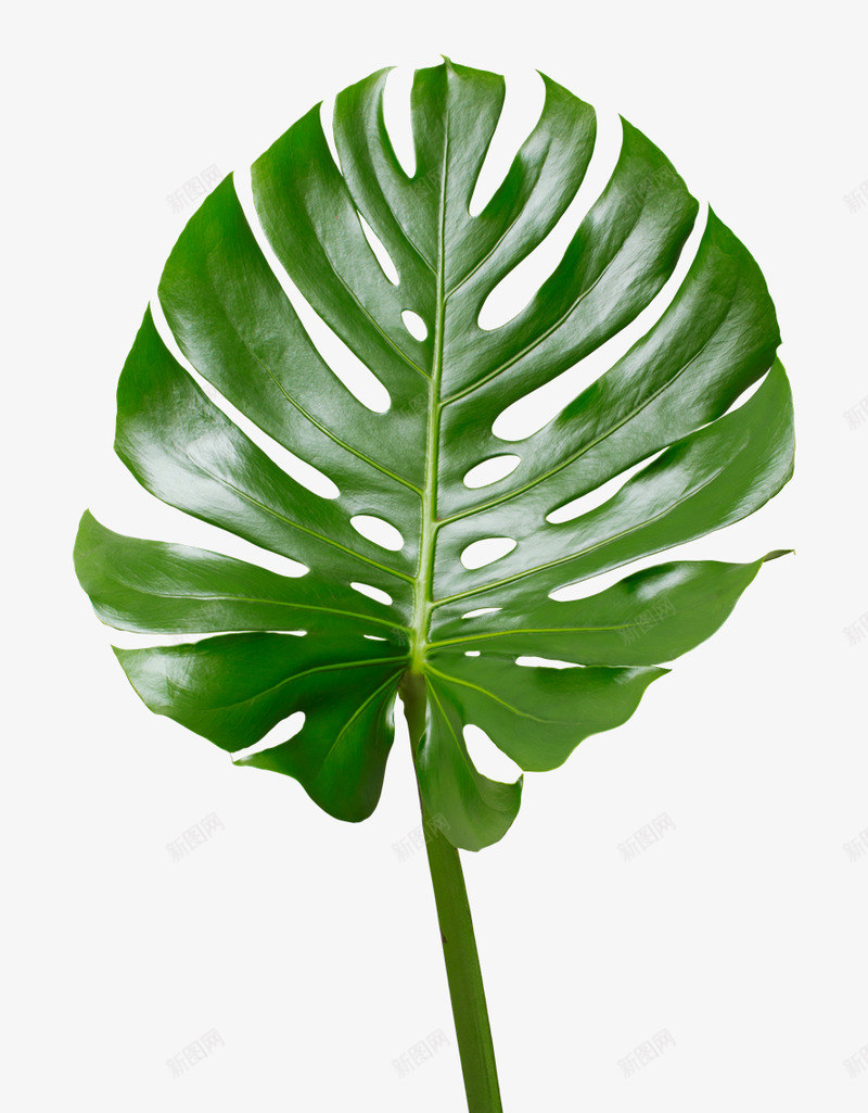 undefined素描 油画  配色png免抠素材_88icon https://88icon.com 素描 油画 配色