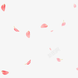 漂浮粉色玫瑰花瓣素材