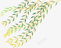 植物插画中国风彩色国潮传统金线柳条柳枝肌理插画素材