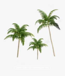 夏季元素椰子树元素素材