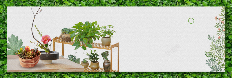 绿色灰色小清新多肉绿植盆栽bannerpsd设计背景_88icon https://88icon.com 小清新 多肉 灰色 绿植 绿色 盆栽 电商 banner