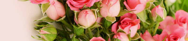 感恩母亲节海报背景psd设计背景_88icon https://88icon.com 母亲节海报 粉红色背景 可爱背景 感恩母亲 蝴蝶结 节日海报 玫瑰花 母