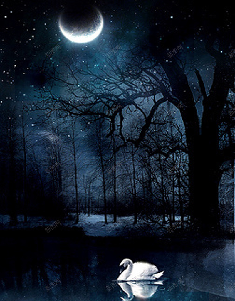 卡通夜空H5背景素材jpg设计背景_88icon https://88icon.com 卡通 卡通夜空 夜空背景 天鹅 手绘 星空 月亮 湖水 漫画 白色 童趣