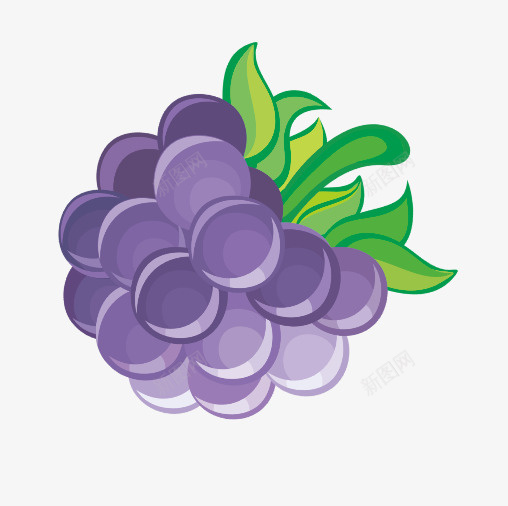 水果葡萄手绘提子png免抠素材_88icon https://88icon.com 卡通提子 卡通葡萄 提子 水果 紫色葡萄 葡萄