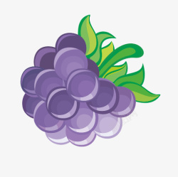 水果葡萄手绘提子素材