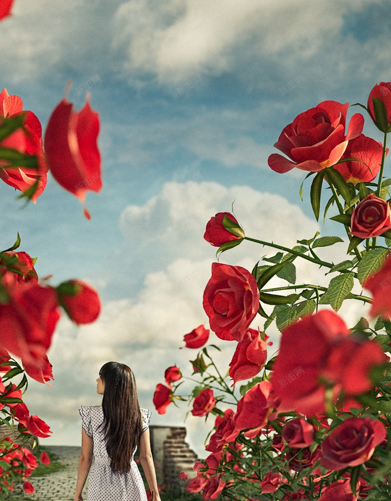 玫瑰花花卉H5背景jpg设计背景_88icon https://88icon.com 唯美 女孩 梦幻 浪漫 玫瑰 H5背景 H5 h5