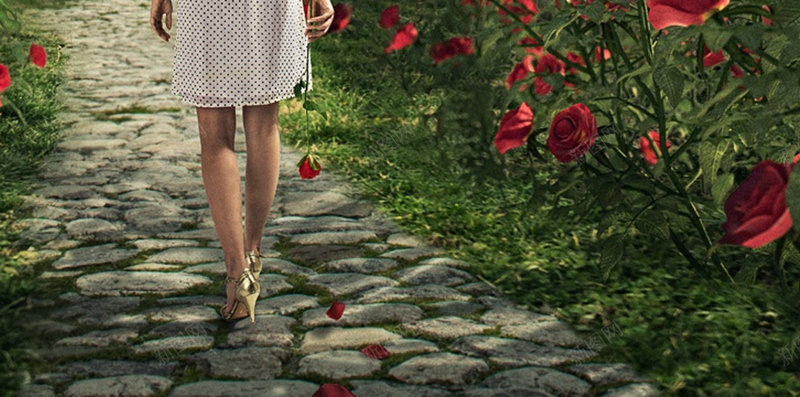 玫瑰花花卉H5背景jpg设计背景_88icon https://88icon.com 唯美 女孩 梦幻 浪漫 玫瑰 H5背景 H5 h5