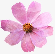 水彩合成粉红色的花瓣效果素材