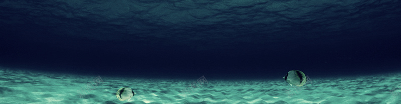海底世界背景背景