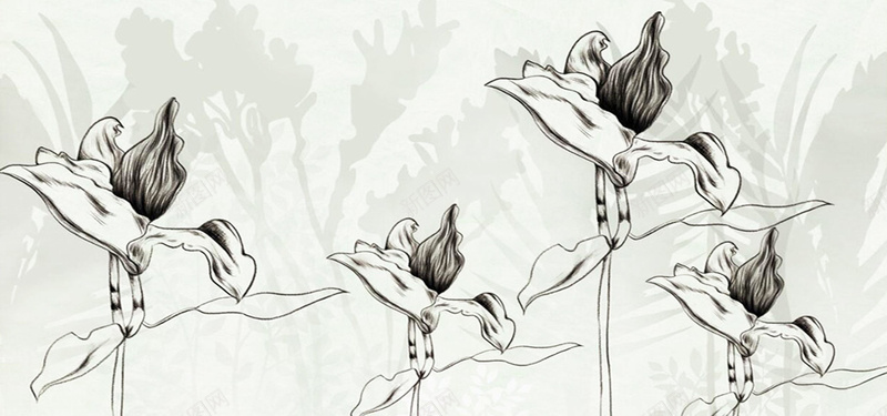 黑白手绘素描花卉简约背景背景