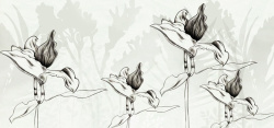 黑白手绘素描花卉简约背景背景