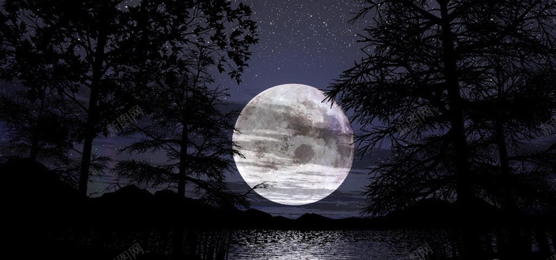 林间明月jpg设计背景_88icon https://88icon.com 月亮 树林 夜晚 海报banner 摄影 风景
