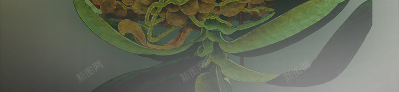 花开富贵蝴蝶兰海报背景素材psd设计背景_88icon https://88icon.com 中国画 国画 富 富贵吉祥 富贵吉祥图 山石 工笔画 桃花 玉兰花 白色蝴蝶兰 花开富贵 蝴蝶兰 锦绣前程 鲜花
