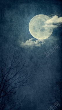 月亮树木夜色背景背景